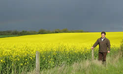 Oilseed rape